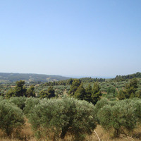 Land plot in Greece