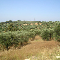 Land plot in Greece