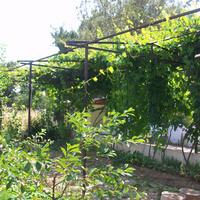 Other in Greece, 180 sq.m.