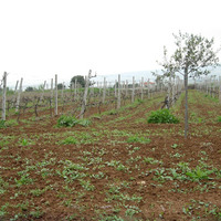 Вилла в Греции, 1300 кв.м.