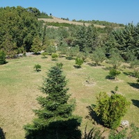 Other in Greece, 250 sq.m.