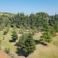 Other in Greece, 250 sq.m.