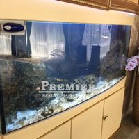 Apartment in Bulgaria, Sunny Beach, 45 sq.m.