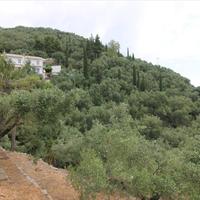 Отель (гостиница) в Греции, Ионические острова, 329 кв.м.