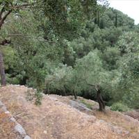 Отель (гостиница) в Греции, Ионические острова, 329 кв.м.