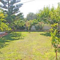 Other in Greece, Peloponnese, Kori, 400 sq.m.