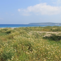 Land plot in Greece, Dode, 7800 sq.m.