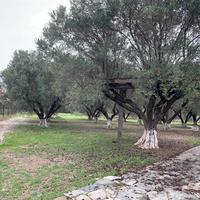 Другое в Греции, 600 кв.м.