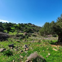 Земельный участок в Греции