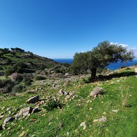 Земельный участок в Греции