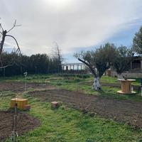 Другое в Греции, 125 кв.м.