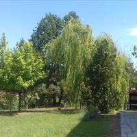 Другое в Греции, 150 кв.м.