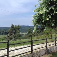 Другое в Греции, 150 кв.м.