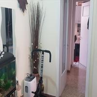 Flat in Greece, 63 sq.m.