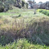 Земельный участок в Греции