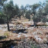 Земельный участок в Греции