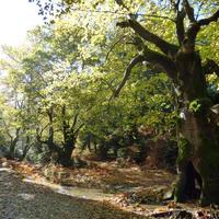 Вилла в Греции, 275 кв.м.