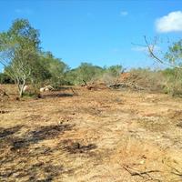 Земельный участок в Греции