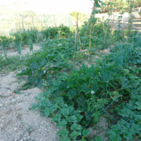 Other in Greece, Crete, 112 sq.m.