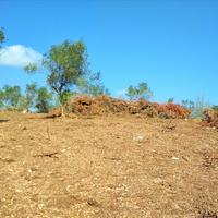 Land plot in Greece, Ionian Islands