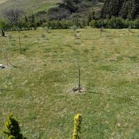 Other in Greece, 380 sq.m.