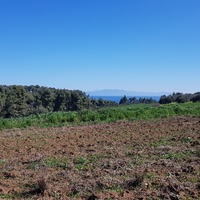 Land plot in Greece, Central Macedonia, Center