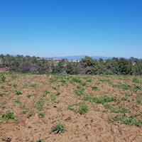 Land plot in Greece, Central Macedonia, Center