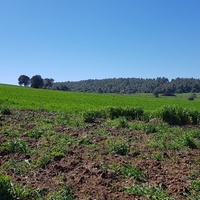 Land plot in Greece, Central Macedonia, Center
