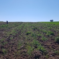 Land plot in Greece, Central Macedonia, Center