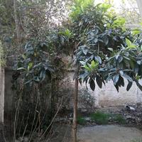 Flat in Greece, 23 sq.m.