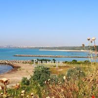 Flat in Bulgaria, Burgas Province, 257 sq.m.