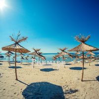 Квартира в Болгарии, Солнечный Берег