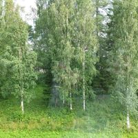 Flat in Finland, 50 sq.m.