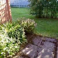 Townhouse in Finland, 34 sq.m.