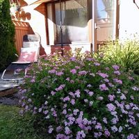 Townhouse in Finland, 34 sq.m.