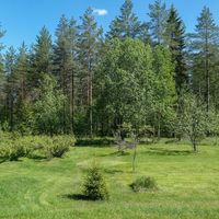 House in Finland, 95 sq.m.