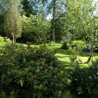 Дом в Финляндии, 45 кв.м.