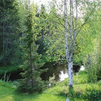 Другое в Финляндии, 20 кв.м.