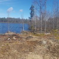 Other in Finland, 40 sq.m.