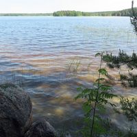 Other in Finland, 56 sq.m.