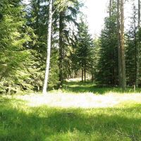 Другое в Финляндии, 25 кв.м.