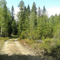 Другое в Финляндии, 25 кв.м.