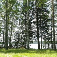 Другое в Финляндии, 25 кв.м.