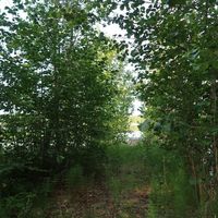 Другое в Финляндии, 30 кв.м.