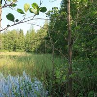 Другое в Финляндии, 30 кв.м.