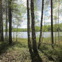 Other in Finland, 40 sq.m.