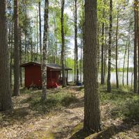 Other in Finland, 40 sq.m.