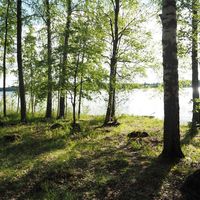 Other in Finland, 18 sq.m.