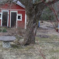 Дом в Финляндии, 50 кв.м.