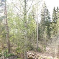 Flat in Finland, 32 sq.m.